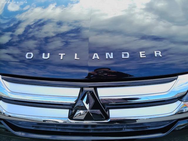 �G���W���t�[�h�G���u�����ł�