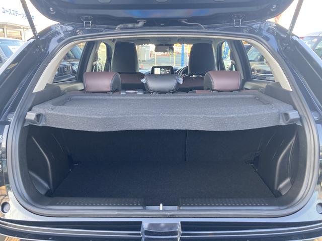 フロンクス 1型(18枚目)