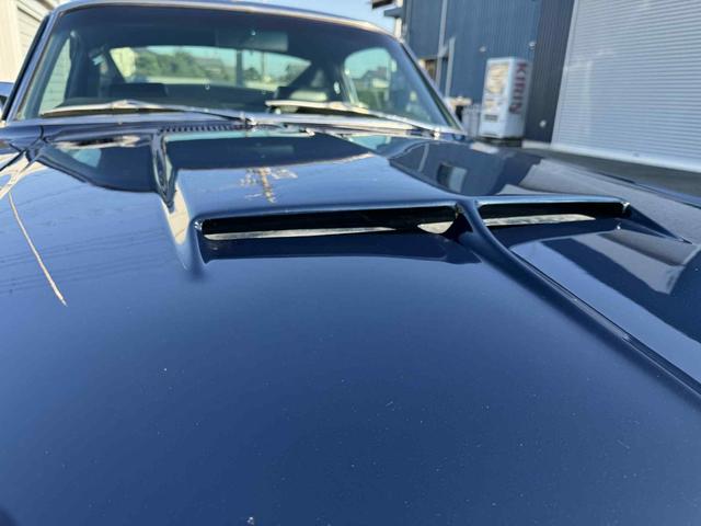 マスタング Fastback(12枚目)