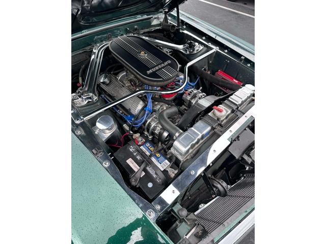 マスタング Ｆａｓｔｂａｃｋ　国内未登録（8枚目）