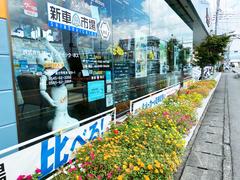 ϥ顼 ϥ֥åɣءŸֻ̥֡˥եʥ֡եƥݡȡȥ롼ȥ 0601504A30240903W001 3