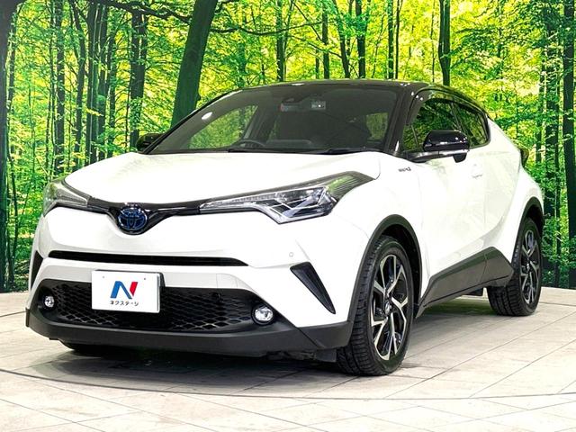 Ｃ－ＨＲ Ｇ　禁煙車　トヨタセーフティセンス　レーダークルーズコントロール　ＢＩＧ－Ｘ９インチナビ　バックカメラ　Ｂｌｕｅｔｏｏｔｈ再生　フルセグＴＶ　ＥＴＣ　ブラインドスポットモニター　前席シートヒーター（21枚目）