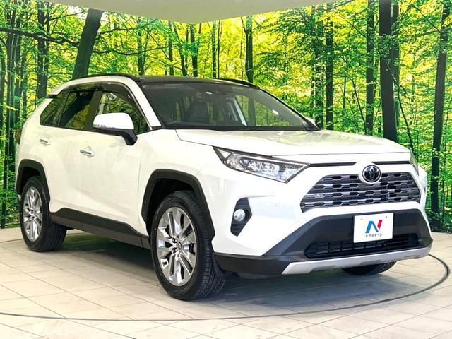 ＲＡＶ４ Ｇ　Ｚパッケージ　サンルーフ　トヨタセーフティーセンス　純正９型ナビ　バックカメラ　シートヒーター　レーダークルーズコントロール　Ｂｌｕｅｔｏｏｔｈ再生　寒冷地仕様　合皮レザーシート　ＬＥＤヘッドライト　ＥＴＣ（17枚目）