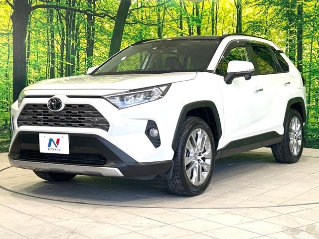 ＲＡＶ４ Ｇ　Ｚパッケージ　サンルーフ　トヨタセーフティーセンス　純正９型ナビ　バックカメラ　シートヒーター　レーダークルーズコントロール　Ｂｌｕｅｔｏｏｔｈ再生　寒冷地仕様　合皮レザーシート　ＬＥＤヘッドライト　ＥＴＣ（23枚目）