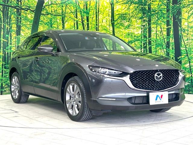 ＣＸ－３０ ２０Ｓ　Ｌパッケージ　スマートブレーキサポート　禁煙車　８．８型マツダコネクト　全周囲カメラ　本革シート　レーダークルーズコントロール　ＥＴＣ　Ｂｌｕｅｔｏｏｔｈ　フルセグ　ドラレコ　シートヒーター　パワーシート（17枚目）