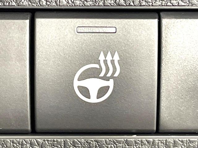 ＲＡＶ４ アドベンチャー　登録済未使用車　１０．５型ディスプレイ　バックカメラ　セーフティセンス　シートベンチレーション　ブラインドスポットモニター　パワーシート　ＬＥＤヘッド　ルーフレール　ＥＴＣ２．０（46枚目）