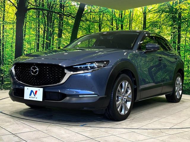 CX-30 20S プロアクティブ ツーリングセレクション SDナビ 全周囲カメラ 衝突被害軽減システム レーダークルーズ 禁煙車 パワーシート ドラレコ コーナーセンサー スマートキー LEDヘッド ETC 純正18インチアルミ 車線逸脱警報 オートライト(31枚目)