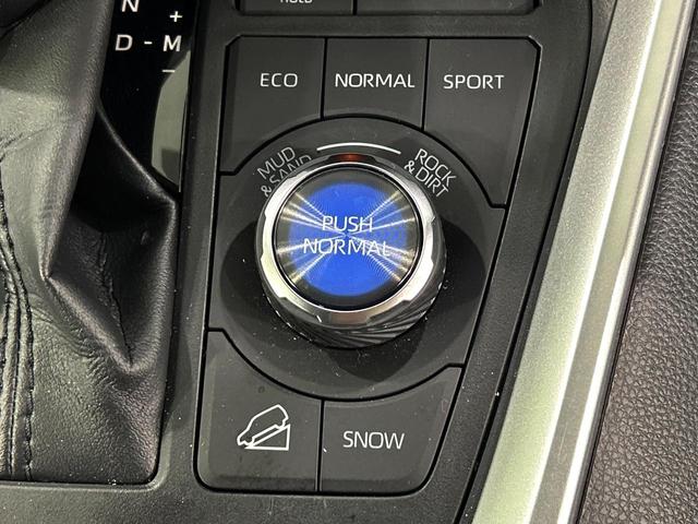 RAV4 アドベンチャー オフロードパッケージ 純正9インチディスプレイ 全周囲カメラ セーフティセンス レーダークルーズ ブラインドスポットモニター デジタルインナーミラー 禁煙車 シートベンチレーション 電動リアゲート ステアリングヒーター(45枚目)