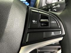 �ڥ����ץƥ��֥��롼������ȥ�����۹�®ƻϩ�Ǥ�Ĺ��Υ���Ԥ��ڤˡ�����ư��®�٤��ݤĥ��롼������ȥ����뤬�����ͷڸ������ƥ��Ϣ�Ȥ��������μ�ξ���Τ��Ƽִ֤��ݤĤ褦��®��Ĵ�ᤷ�Ƥ���ޤ����� 4