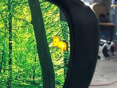 ڥ֥饤ɥݥåȥ˥桢ɥߥ顼λѤˤʤ䤹ս˸³֤᤹ܶȥɥߥ顼Υ󥺤˷ٹɽɥ饤Сմ򤷤Ƥޤ 6