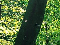 �ڥ��顼�إåɥ��åץǥ����ץ쥤�۸��ߤ�®�٤����Ծ����ǥ�����ɽ���Ǳ�ž�������Υ��饹����ơ����顼�դ��ǻ�ǧ����⤯����ž�������򤺤餵��ɬ�פʾ�����ǧ�Ǥ���ΤǤȤäƤ������ǰ¿��� 7