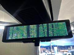 �ڥ���ƥꥸ����ȥ롼��ߥ顼�۸��ʤ��礭�ʲ�ʪ��Ʊ��ԤǸ�������ǧ���Ť餤���Ǥ�¿�������餬���Ƥ�����ξ�����α�����롼��ߥ顼���ɽ�������ꥢ�ʻ볦�Ǿ����γ�ǧ����ǽ�Ǥ��� 6