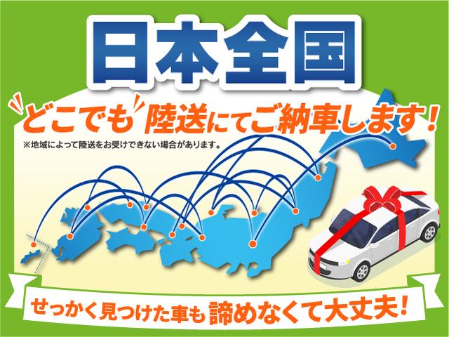 ハイラックスサーフ ＳＳＲ－Ｘ　４ＷＤ　ブラックアウトカスタム　ジオランダーＸ－ＡＴ　背面タイヤ　ドライブレコーダー　ＥＴＣ　社外ナビ　フルセグＴＶ　バックカメラ　ＵＳＢ　Ｂｌｕｅｔｏｏｔｈ　助手席エアバック　純正１６インチＡＷ（48枚目）