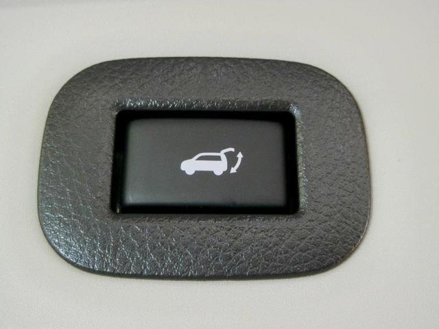 エクストレイル ２０Ｘｉ　ワンオーナー　衝突被害軽減システム　横滑り防止機能　ＡＢＳ　エアバッグ　オートクルーズコントロール　盗難防止装置　アイドリングストップ　バックカメラ　ＥＴＣ　ドラレコ　ミュージックプレイヤー接続可（36枚目）