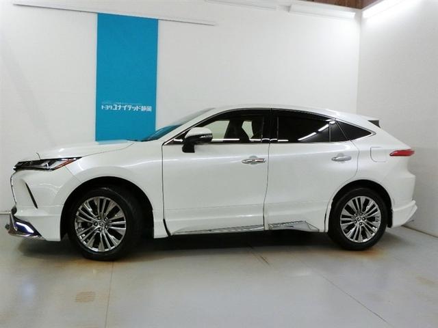 �l�C�̃p�[���z���C�g�ł��B