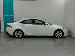 �͵��Υۥ磻�ȥѡ��륯�ꥹ���륷�㥤��Ǥ��� 3