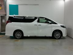 �ܥǡ����顼�Ͽ͵��Υۥ磻�ȥѡ��륯�ꥹ���륷�㥤��Ǥ��� 3