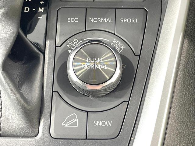 ＲＡＶ４ アドベンチャー　４ＷＤ　ＪＡＯＳエアロ　純正９型ナビ　バックカメラ　衝突被害軽減　ブラインドスポットモニター　禁煙車　電動リアゲート　シートベンチレーション　純正１９インチアルミ　パワーシート　ダウンヒルアシスト（34枚目）