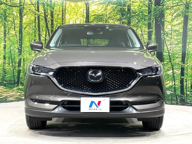 ＣＸ－５ ＸＤ　プロアクティブ　禁煙車　スマートブレーキサポート　マツダコネクトナビ　バックカメラ　ＢＯＳＥサウンド　Ｂｌｕｅｔｏｏｔｈ　シートヒーター　ステアリングヒーター　ブラインドスポットモニター　レーダークルーズ（14枚目）
