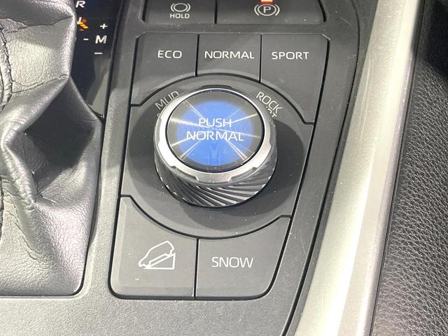 ＲＡＶ４ アドベンチャー　４ＷＤ　純正９型ナビ　バックカメラ　衝突被害軽減　禁煙車　レーダークルーズ　合皮シート　シートベンチレーション　パワーシート　ダウンヒルアシスト　コーナーセンサー　ＬＥＤヘッド　ＥＴＣ　スマートキー（34枚目）