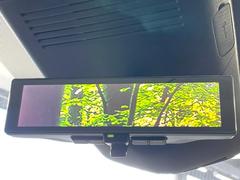 �ڥ���ƥꥸ����ȥ롼��ߥ顼�۸��ʤ��礭�ʲ�ʪ��Ʊ��ԤǸ�������ǧ���Ť餤���Ǥ�¿�������餬���Ƥ�����ξ�����α�����롼��ߥ顼���ɽ�������ꥢ�ʻ볦�Ǿ����γ�ǧ����ǽ�Ǥ��� 6