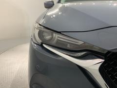 �̣ţĥإåɥ饤�Ȥϡ������νִ֤��������̤�ȯ�����������Ť��ʤ�ȥ�ͥ�ʤɤǤΰ��괶����ޤ��� 6