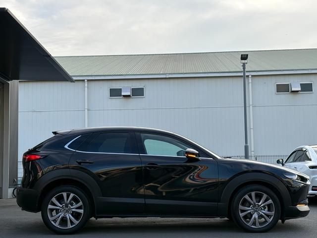 ＣＸ－３０ ２０Ｓ　プロアクティブ　ツーリングセレクション　純正ナビ　フルセグ　パノラマカメラ　前席シートヒーター　プッシュスタート　パワーシート　ブレーキサポート　ドラレコ　ステアリングヒーター　ＤＶＤ再生　ＢＴオーディオ　純正１８ＡＷ　ＥＴＣ　Ｐバックドア（3枚目）