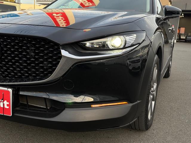 ＣＸ－３０ ２０Ｓ　プロアクティブ　ツーリングセレクション　純正ナビ　フルセグ　パノラマカメラ　前席シートヒーター　プッシュスタート　パワーシート　ブレーキサポート　ドラレコ　ステアリングヒーター　ＤＶＤ再生　ＢＴオーディオ　純正１８ＡＷ　ＥＴＣ　Ｐバックドア（32枚目）