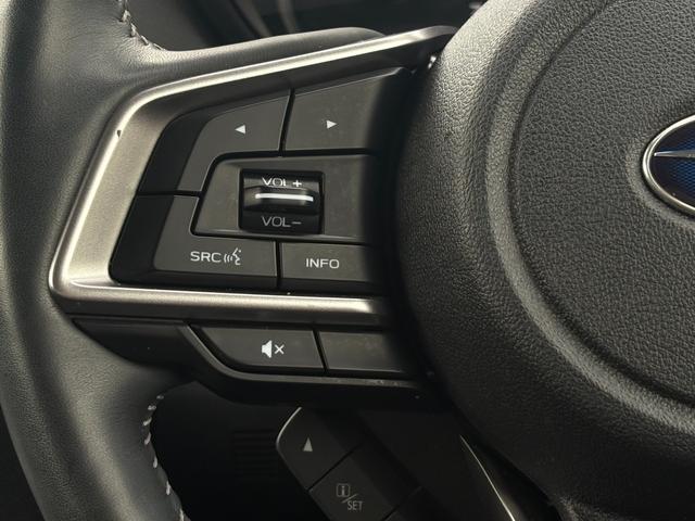 フォレスター スポーツ 1オーナー 純ナビ フルセグ BT DVD Bカメラ サンルーフ デジタルインナーミラー サイドカメラ Pバックドア アイサイト 全席シートヒーター LED フォグ ETC スマートキーX2 保証書(24枚目)