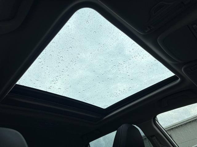 フォレスター スポーツ 1オーナー 純ナビ フルセグ BT DVD Bカメラ サンルーフ デジタルインナーミラー サイドカメラ Pバックドア アイサイト 全席シートヒーター LED フォグ ETC スマートキーX2 保証書(30枚目)