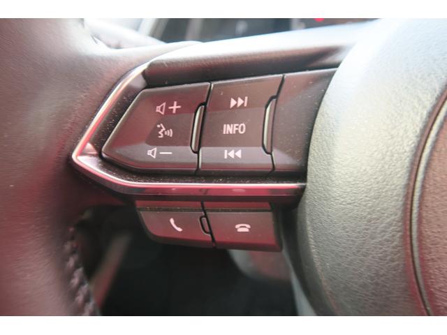 ＣＸ－３ １５Ｓ　ツーリング　ブラックグロッシーパッケージ　セーフティパッケージ　３６０度ビューモニター　フロントパーキングセンサー　ＬＥＤヘッドランプ　地デジＴＶ　ＣＤＤＶＤ　スペアキー（34枚目）