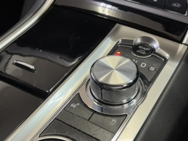 ＸＦ ブラックパックリミテッド　１００台限定車・ブラックパック・ブラックパック専用２０インチアルミ・黒革シート・地デジ付き純正ナビ・バックカメラ・スマートキー・ＥＴＣ・ＨＩＤライト（30枚目）