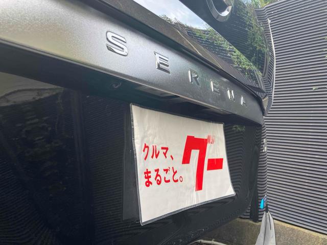 セレナ ハイウェイスター　プロパイロットエディション　ＥＴＣ　バックカメラ　ナビ　ＴＶ　クリアランスソナー　オートクルーズコントロール　衝突被害軽減システム　両側電動スライドドア　スマートキー　アイドリングストップ　電動格納ミラー　後席モニター（20枚目）