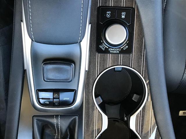 ＲＸ ＲＸ３００　バージョンＬ（14枚目）