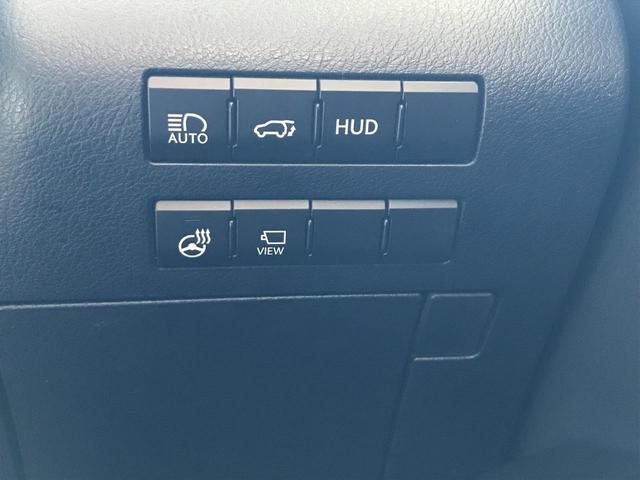 ＲＸ ＲＸ３００　バージョンＬ（17枚目）