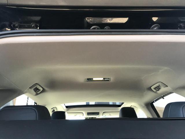 ＲＸ ＲＸ３００　バージョンＬ（21枚目）