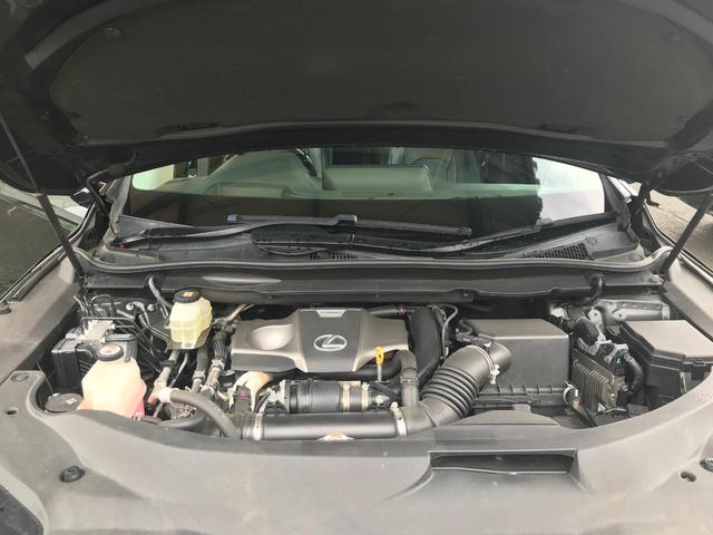 ＲＸ ＲＸ３００　バージョンＬ（22枚目）