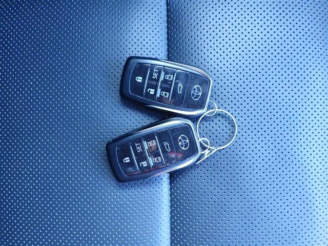 ヴェルファイアハイブリッド エグゼクティブラウンジＺ　ＴＳＳ　レザーシート　横滑り防止機能　Ｂカメラ　ムーンルーフ　１オーナー　オートクルーズコントロール　ＡＣ１００Ｖ電源　フルセグＴＶ　ＤＶＤ再生　３列シート　エアバッグ　メモリーナビ　ＥＴＣ　エアコン（29枚目）