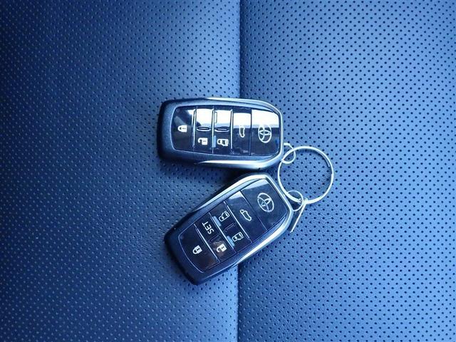 アルファード ２．５Ｓ　Ｃパッケージ　両電動ドア　Ｂモニタ　地デジ　１オーナー　定期点検記録簿　パノラマルーフ　リアオートエアコン　ナビテレビ　横滑り防止　クルコン　ＡＣ１００Ｖ電源　セキュリティ　ＥＴＣ車載器　ＬＥＤヘッドライト　ＡＢＳ（29枚目）