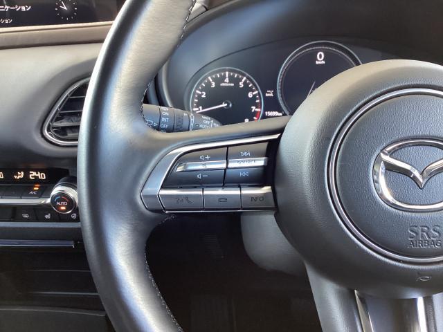 CX-30 X Lパッケージ X Lパッケージ 6AT 衝突被害軽減ブレーキ 交通標識認識システム レーダークルーズコントロール 360°ビューモニター ET(9枚目)