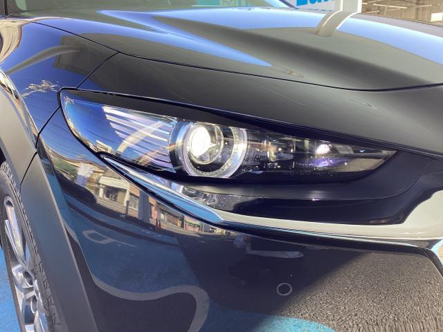 CX-30 X Lパッケージ X Lパッケージ 6AT 衝突被害軽減ブレーキ 交通標識認識システム レーダークルーズコントロール 360°ビューモニター ET(19枚目)