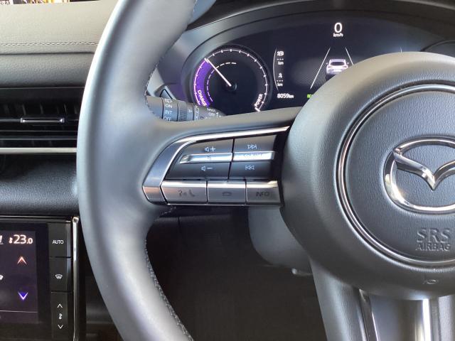 MX-30ロータリーEV モダンコンフィデンス R‐EVモダンコンフィデンス 衝突被害軽減ブレーキ レーダークルーズコントロール 車線逸脱警報機能 ナビゲーション 360°ビュ(10枚目)