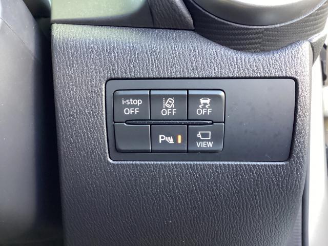 ＭＡＺＤＡ２ １５Ｓプロアクティブ　スマートエディションＩＩ　１５Ｓ　ＰＲＯＡＣＴＩＶＥ　ＳＭＡＲＴ　ＥＤＩＴＩＯＮ２　６ＡＴ　衝突被害軽減ブレーキ　レーダークルーズコントロール　車線逸脱警（13枚目）