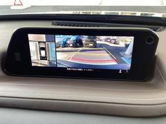 ãءݣ ء̥ѥåء̥ѥå 0601944A20251115U001 5