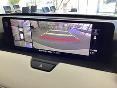 �ãءݣ��� �أġݥϥ��֥�åɡ����������롼���֥���󡡣أġ��ȣ֡����������롼���֥���� 0601944A20251202U002 5