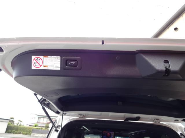 アルファード ３．５エグゼクティブラウンジＳ　★４ＷＤ★ツインムーンルーフ★白革★モデリスタフルエアロ★モデリスタ２０インチＡＷ★モデリスタマフラー★モデリスタシグネチャーイルミ★リヤエンターテインテント後席モニター★ＪＢＬサウンド★ＴＳＳ★（49枚目）