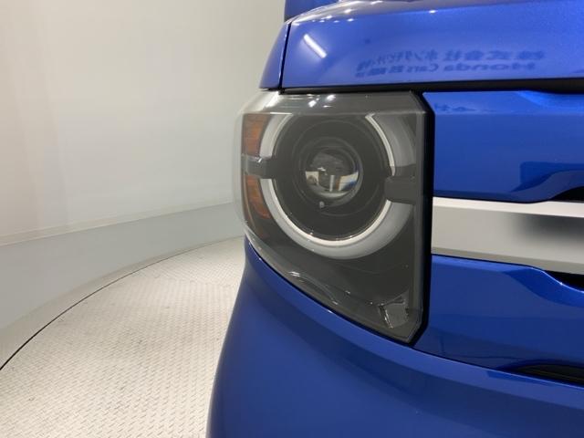 �k�d�c�w�b�h���C�g�́A�_���̏u�Ԃ���ő���ʂ𔭊����A�ˑR�Â��Ȃ�g���l���Ȃǂł̈��芴�����߂܂��B