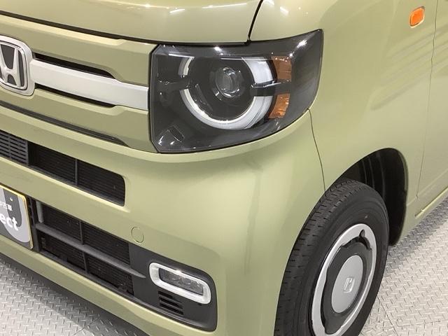 �k�d�c�w�b�h���C�g�́A�_���̏u�Ԃ���ő���ʂ𔭊����A�ˑR�Â��Ȃ�g���l���Ȃǂł̈��芴�����߂܂��B