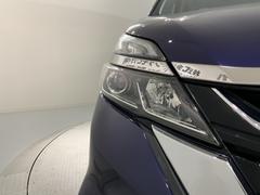 �ǥ������㡼���إåɥ饤����ܤǤ��ä������뤯�Ȥ餷�Ƥ����Τǡ�������Ԥ��Դ����ƻ�Ǥ�¿��Ǥ��� 7