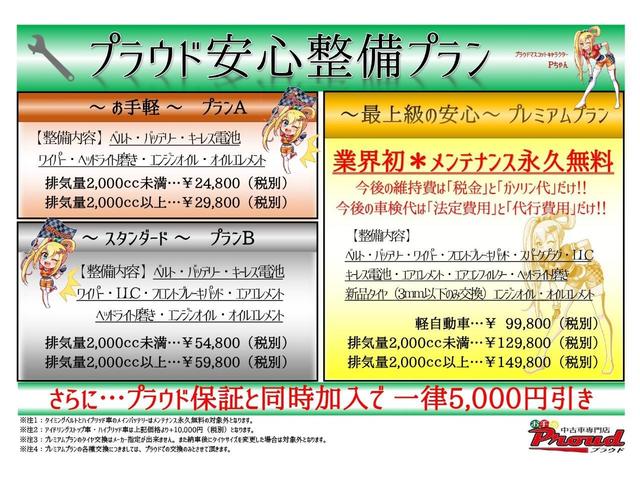 T /第三者機関鑑定/消毒除菌/純正オーディオ/CD/インテリキー/レベライザー/純正アルミ/電格ミラー/ETC(44枚目)